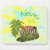 nevis, st. kitts, st kitts, st kitts nevis,