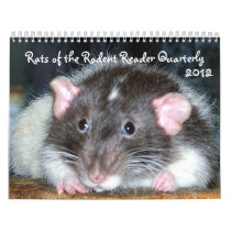 NEW 2012 Pet Rats Calendar!