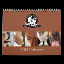 NEW -  2013 AZBHR Calendar calendars