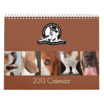 NEW -  2013 AZBHR Calendar