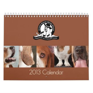 NEW -  2013 AZBHR Calendar