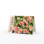pink, orange, flower, flowers, floral, garden,