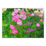 New Address Greeting Card