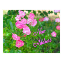 New Address Post Card
