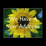 New Address Postcard postcards