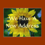 New Address Postcard
