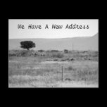 New Address Postcard postcards
