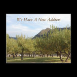 New Address Postcard postcards