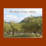 New Address Postcard