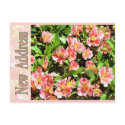 New Address postcards by DonnasGreetingCards New Address postcards
