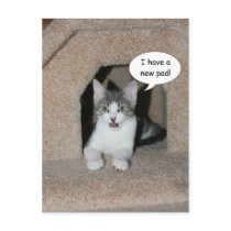 New Address postcards