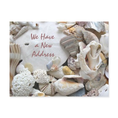 New Address Seashells postcard