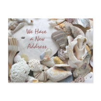 New Address Seashells postcards by pamdicar New Address Seashells postcards
