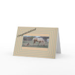 New Arrival cards