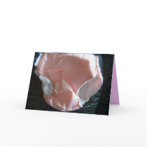 New baby card