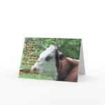 makara, hereford, cattle, cow, baby, babies,