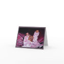 New baby- (Girl) cards