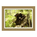 New Beginings posters by windwalker New Beginings posters