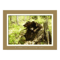 New Beginings posters by windwalker New Beginings posters