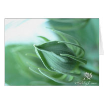 New Beginnings, by Maddylane Designs cards
