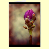 New beginnings cards by Rainmountain New beginnings cards