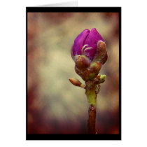 New beginnings cards