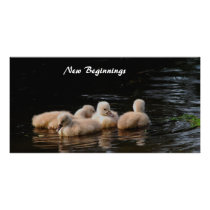 New Beginnings Customized Photo Card