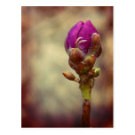 New beginnings post card