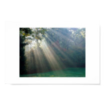 New beginnings posters