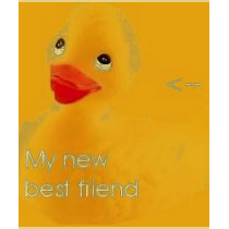 New Best Friend t-shirts