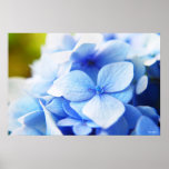 New Blues Print