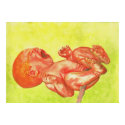 New Born Baby Wailer posters