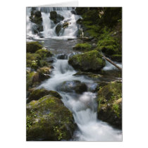 New Brunswick, Canada. Dickson Falls in Fundy
