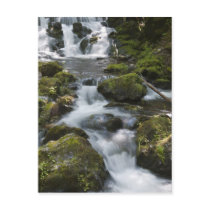 New Brunswick, Canada. Dickson Falls in Fundy