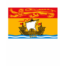 New Brunswick Flag T-shirt