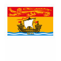 New Brunswick Flag T-shirt