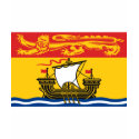 NEW BRUNSWICK FLAG t-shirts by flagshirts NEW BRUNSWICK FLAG t-shirts