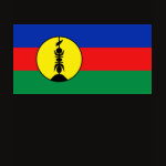 New Caledonia Flag Map Spaghetti Top