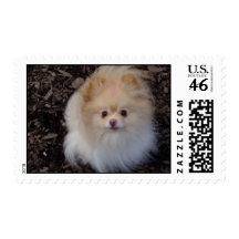 new camera 120.jpg postage stamps