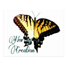 New Creation ~ Swallowtail Postcards