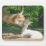 New Cria Mousepad