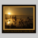 New Dawn Poster posters