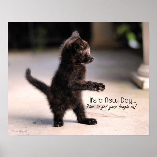 New Day: Funny Kitten Poster Print