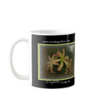 New Day Gardens- Daylilies Living Art Coffee Mugs