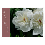 New Day Gardens Get Well Card- White Peony