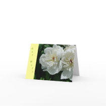 New Day Gardens Get Well Card- White Peony Y