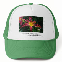 New Day Gardens Hat: Grow Historic Daylilies