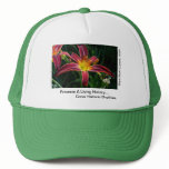 New Day Gardens Hat: Grow Historic Daylilies