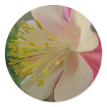 New Day Gardens Stickers-Red Columbine