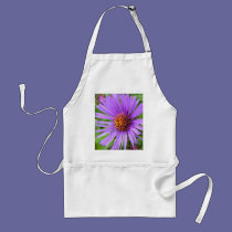 New England Aster aprons